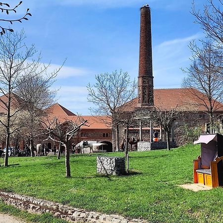 Tinyhousebeidresden 1 - Direkt Am Naturteich - Naehe Saechsische Schweiz, Dresden Großharthau Buitenkant foto