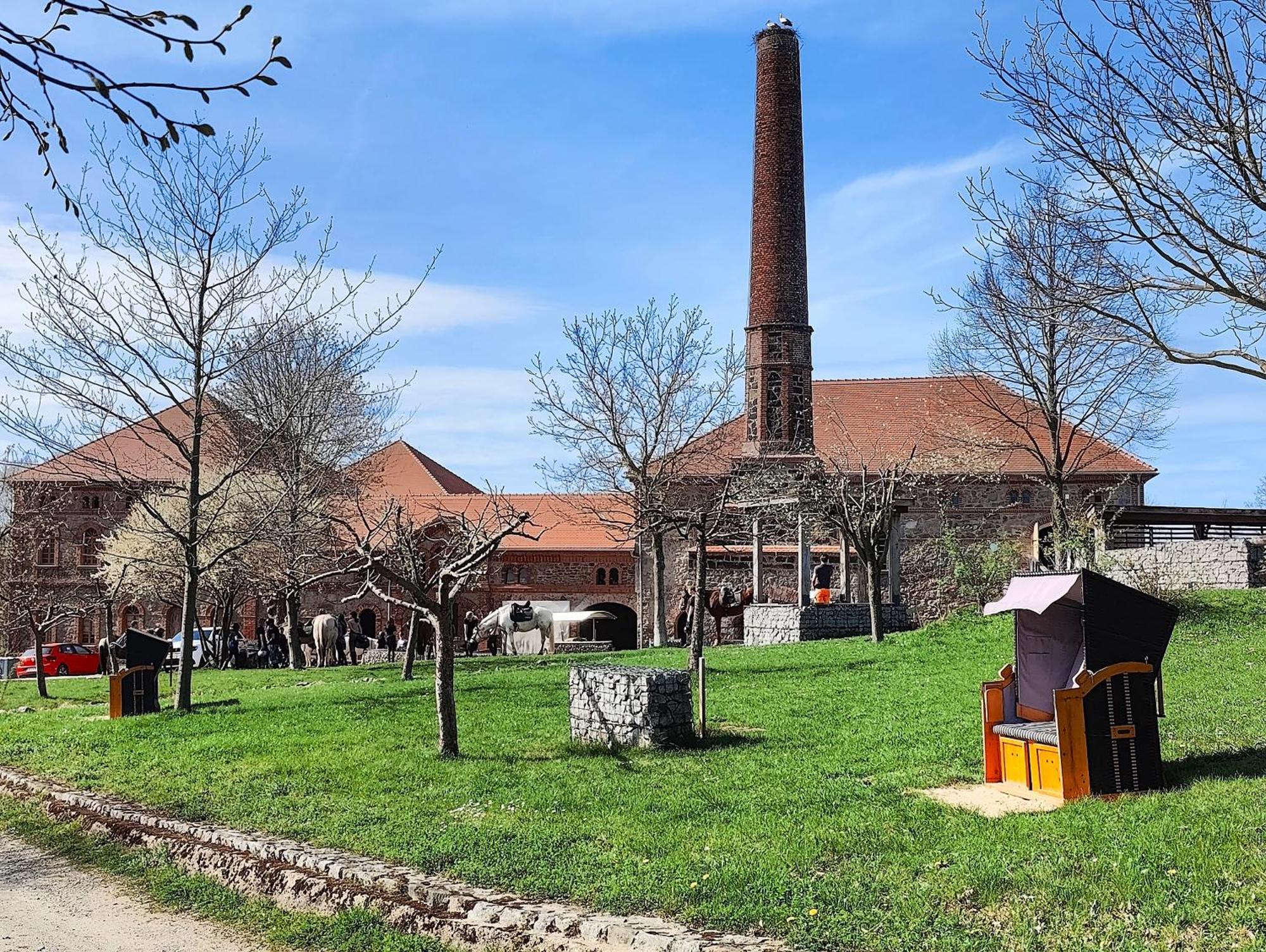Tinyhousebeidresden 1 - Direkt Am Naturteich - Naehe Saechsische Schweiz, Dresden Großharthau Buitenkant foto