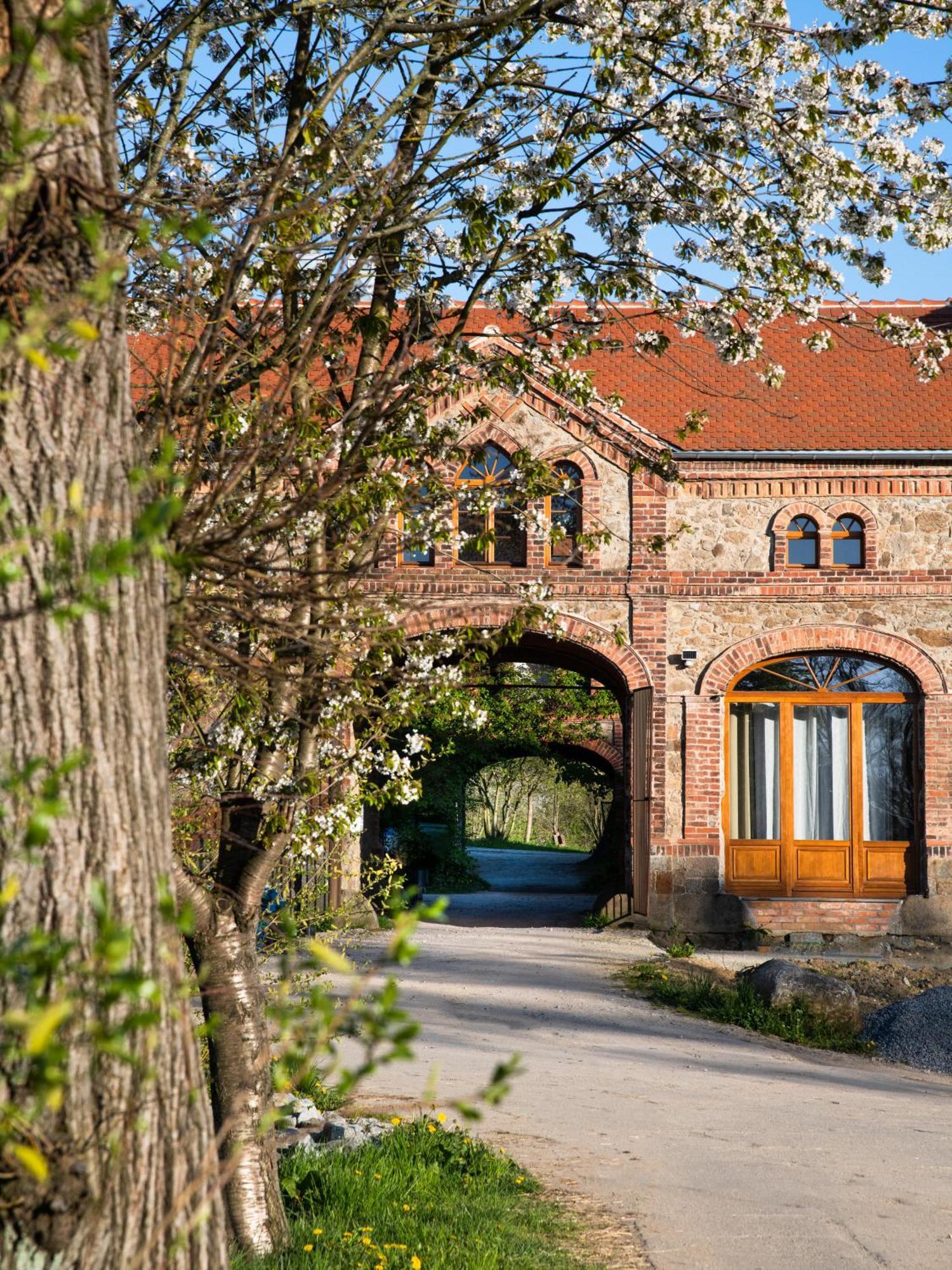 Tinyhousebeidresden 1 - Direkt Am Naturteich - Naehe Saechsische Schweiz, Dresden Großharthau Buitenkant foto