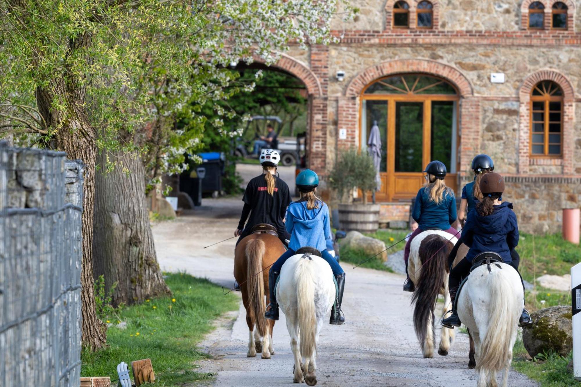 Tinyhousebeidresden 1 - Direkt Am Naturteich - Naehe Saechsische Schweiz, Dresden Großharthau Buitenkant foto